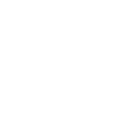 VADS ICON-02