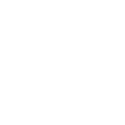VADS ICON-06